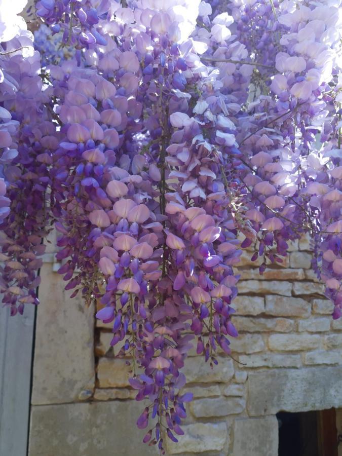 Wisteria Cottage Les Adjots Exteriér fotografie